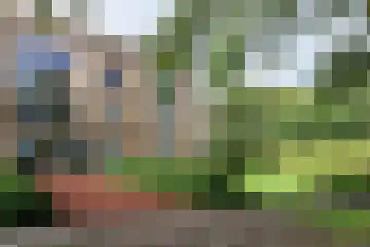 Skries 19 D Dronryp thumbnail 8