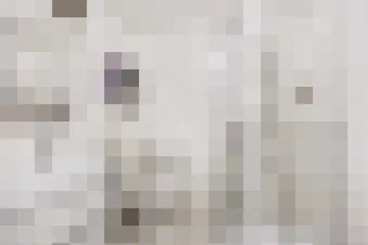 Skries 19 J Dronryp thumbnail 38