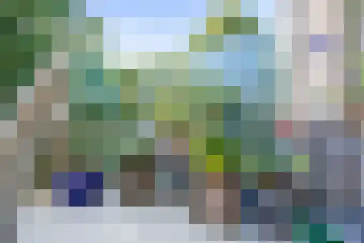 Skries 19 J Dronryp thumbnail 41