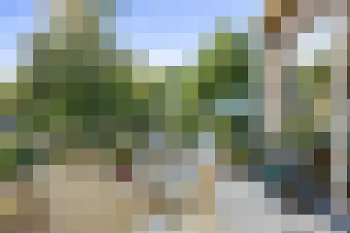 Skries 19 J Dronryp thumbnail 42
