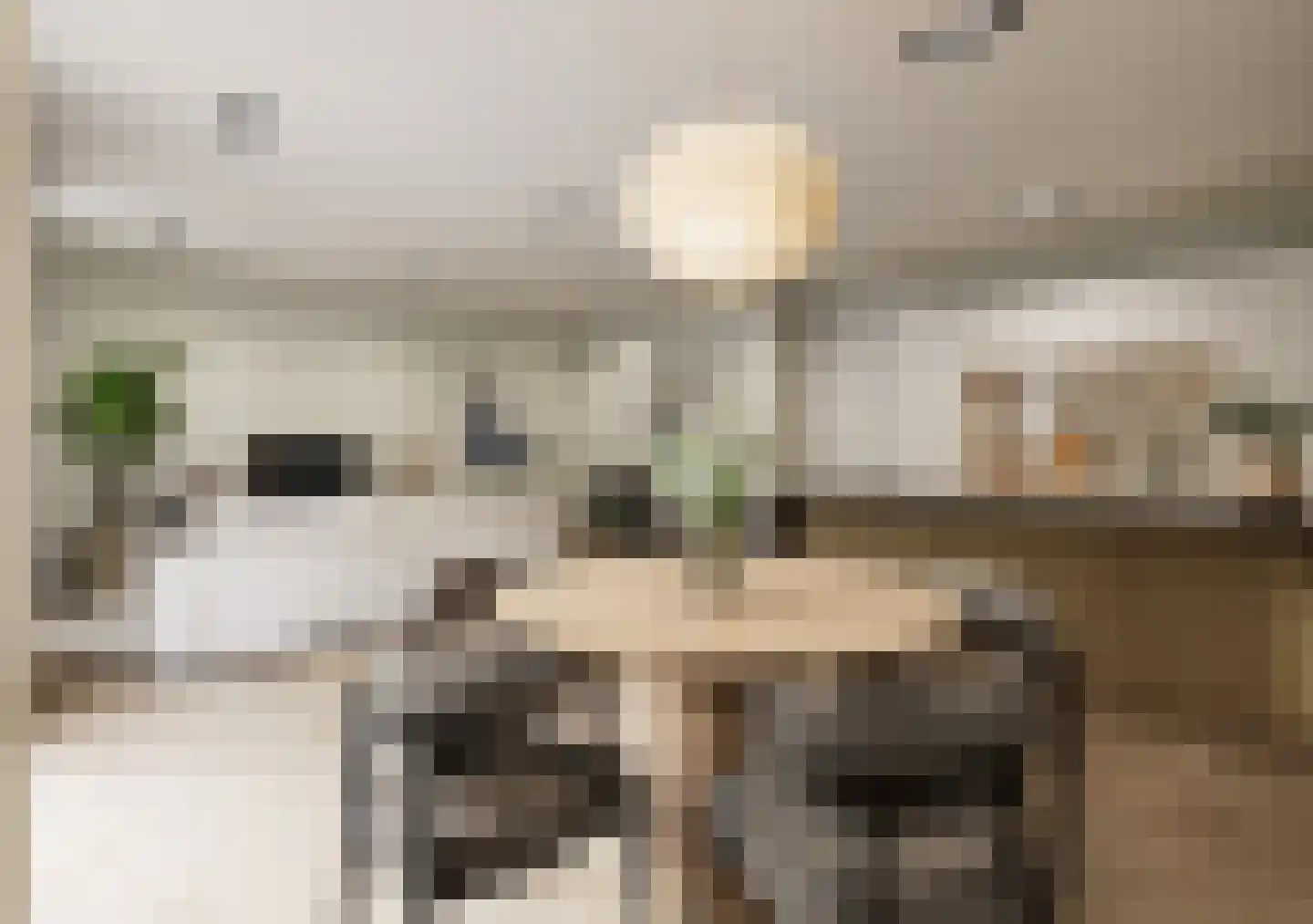 Skriesstrjitte 2 De Westereen thumbnail 4