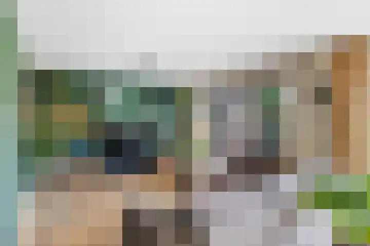 Skûtsje 41 Gorredijk thumbnail 12