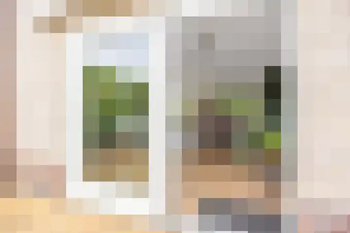 Skûtsje 41 Gorredijk thumbnail 33