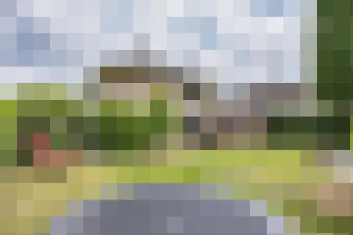 Skûtsje 41 Gorredijk thumbnail 35