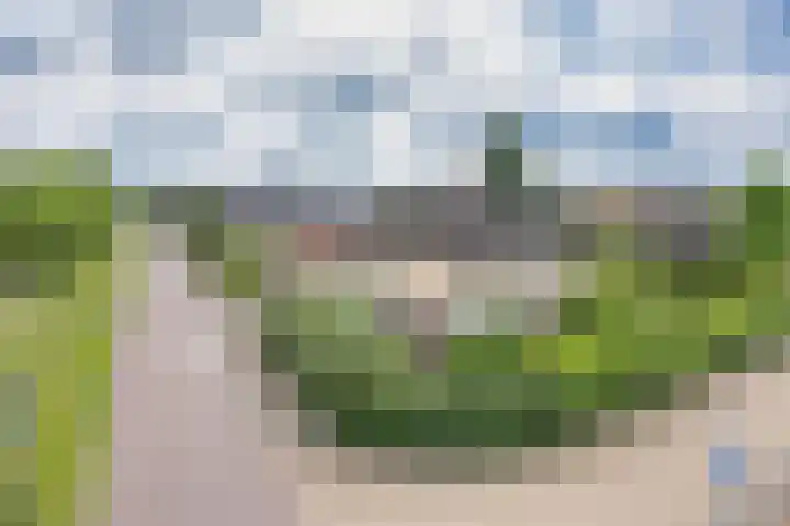 Skûtsje 41 Gorredijk thumbnail 42