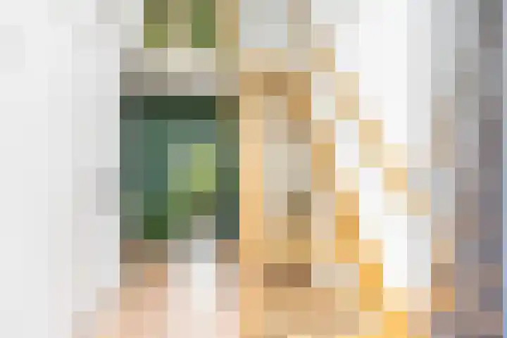 Skûtsje 41 Gorredijk thumbnail 8