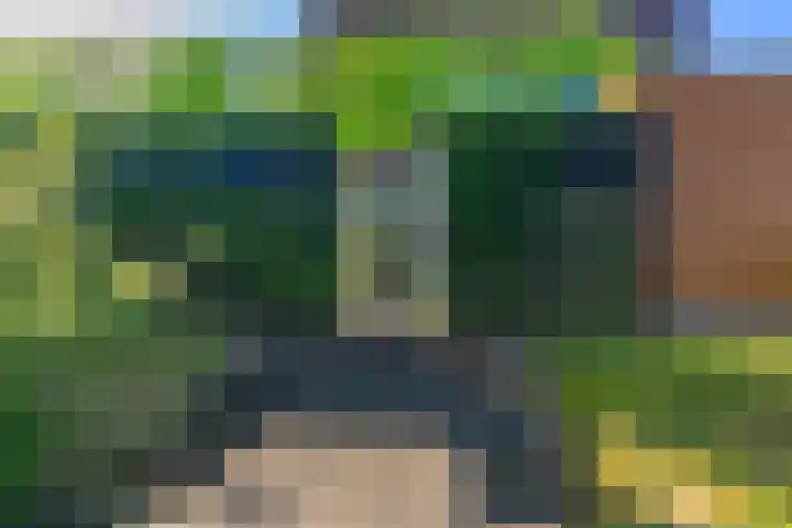 Skûtsje 64 Gorredijk thumbnail 14