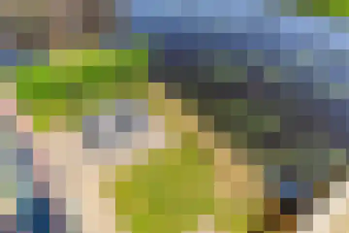 Skûtsje 64 Gorredijk thumbnail 23