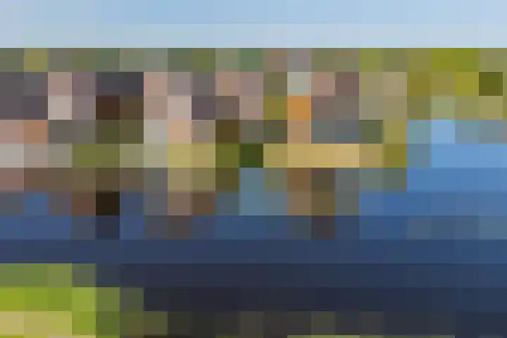Skûtsje 64 Gorredijk thumbnail 25