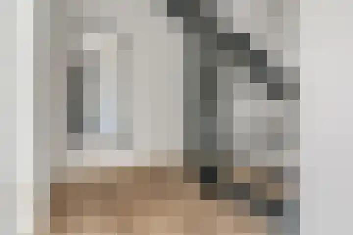 Skûtsje 64 Gorredijk thumbnail 31