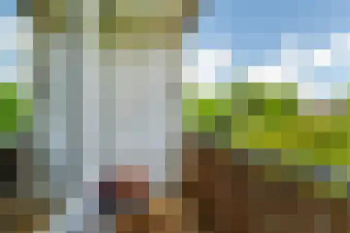 Slaak 108 Rotterdam thumbnail 19