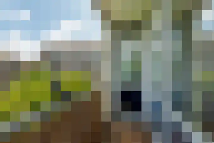 Slaak 108 Rotterdam thumbnail 20