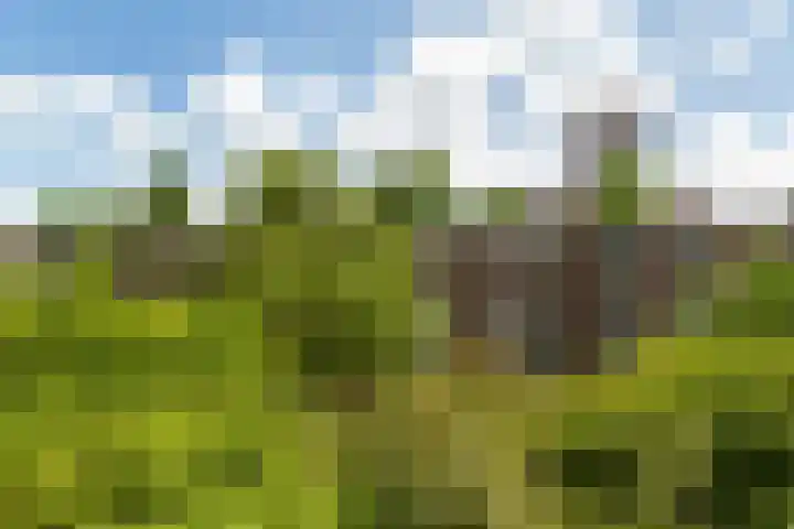 Slaak 108 Rotterdam thumbnail 22