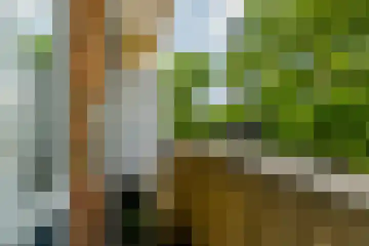 Slaak 108 Rotterdam thumbnail 24