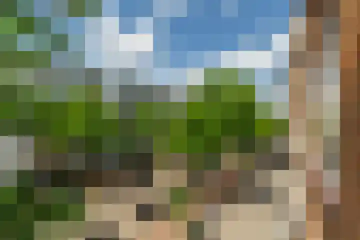 Slaak 108 Rotterdam thumbnail 26