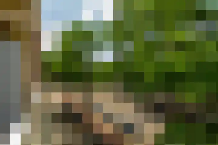 Slaak 108 Rotterdam thumbnail 28
