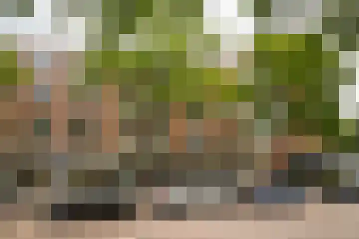 Slaak 132 Rotterdam thumbnail 18