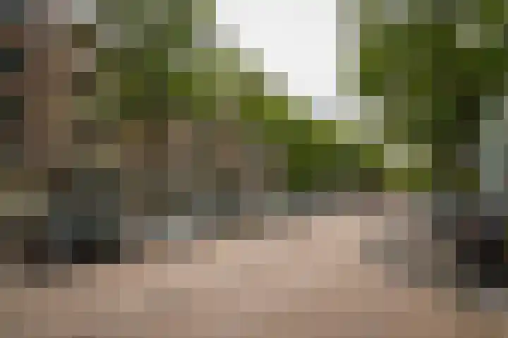 Slaak 132 Rotterdam thumbnail 19