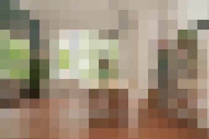 Slaak 132 Rotterdam thumbnail 7