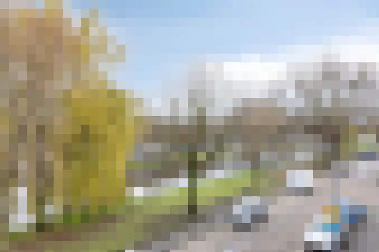 Slachthuiskade 22 Rotterdam thumbnail 19