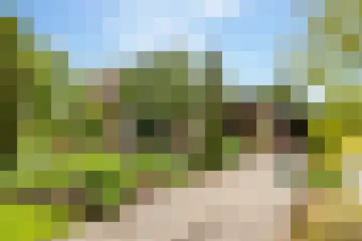 Slagendijk 7 Zuidwolde