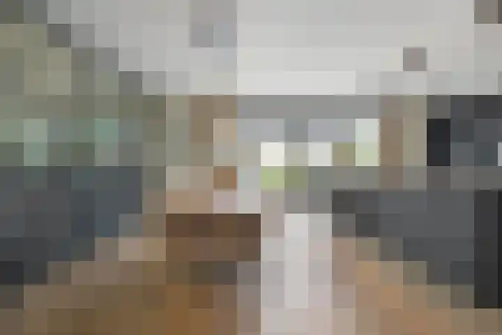 Slagerswerf 6 Dedemsvaart thumbnail 15