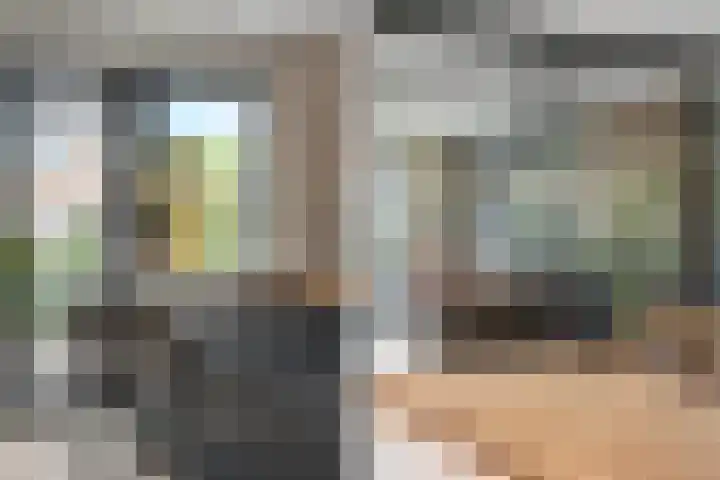 Slagerswerf 6 Dedemsvaart thumbnail 21