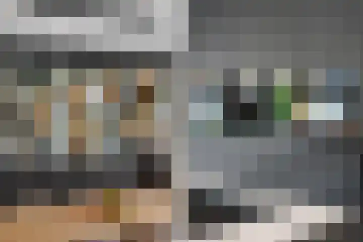 Slagerswerf 6 Dedemsvaart thumbnail 24