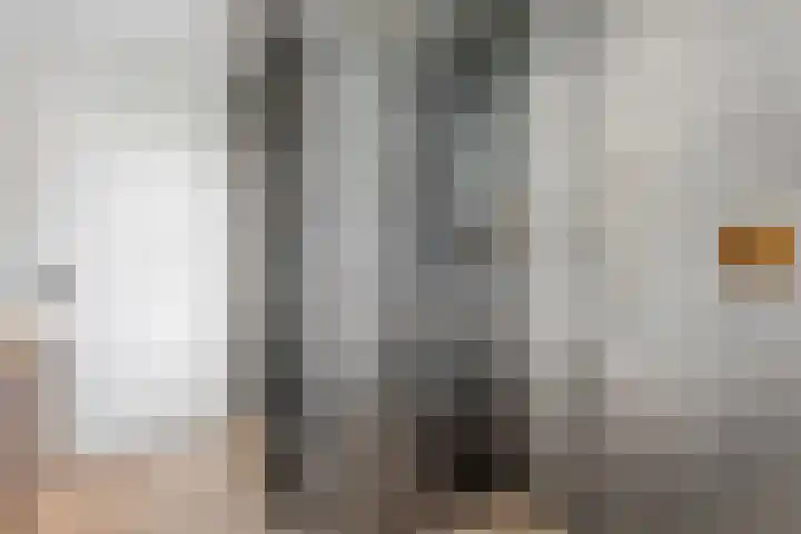 Slagerswerf 6 Dedemsvaart thumbnail 38