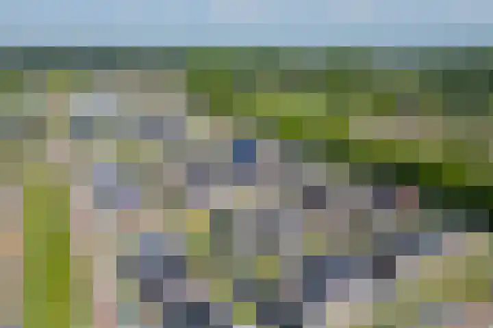 Slagerswerf 6 Dedemsvaart thumbnail 4
