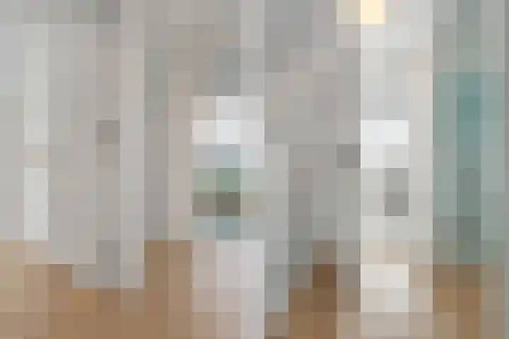 Slagerswerf 6 Dedemsvaart thumbnail 41