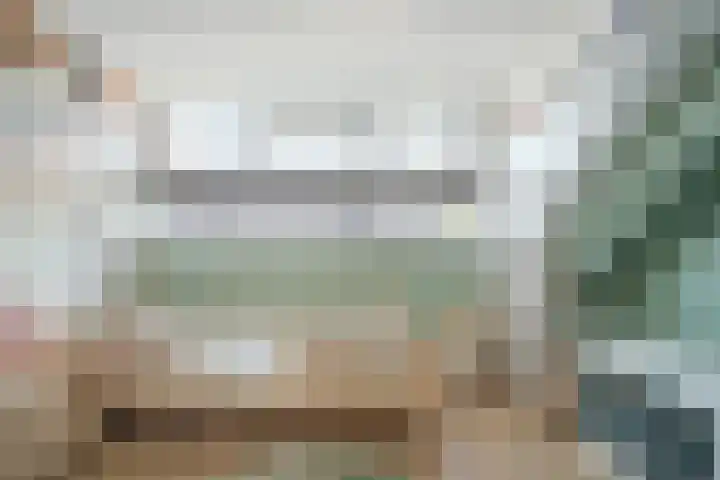 Slagerswerf 6 Dedemsvaart thumbnail 42