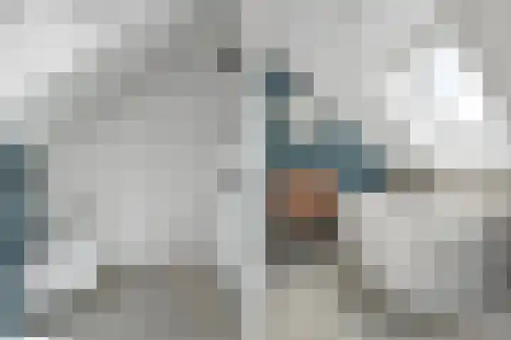 Slagerswerf 6 Dedemsvaart thumbnail 49