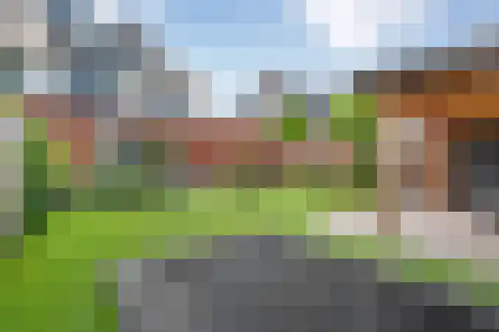 Slagerswerf 6 Dedemsvaart thumbnail 53
