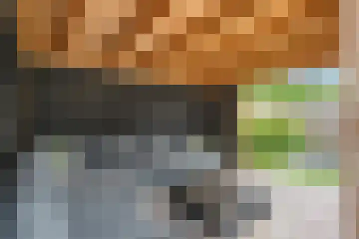 Slagerswerf 6 Dedemsvaart thumbnail 55