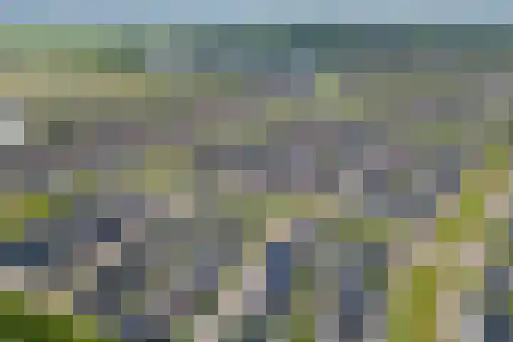 Slagerswerf 6 Dedemsvaart thumbnail 61