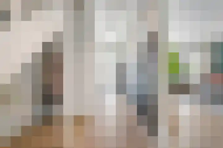 Slagerswerf 6 Dedemsvaart thumbnail 7