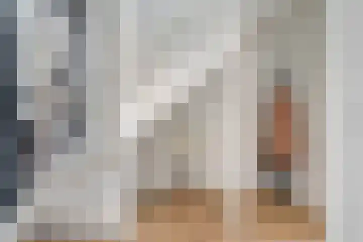 Slagerswerf 6 Dedemsvaart thumbnail 9