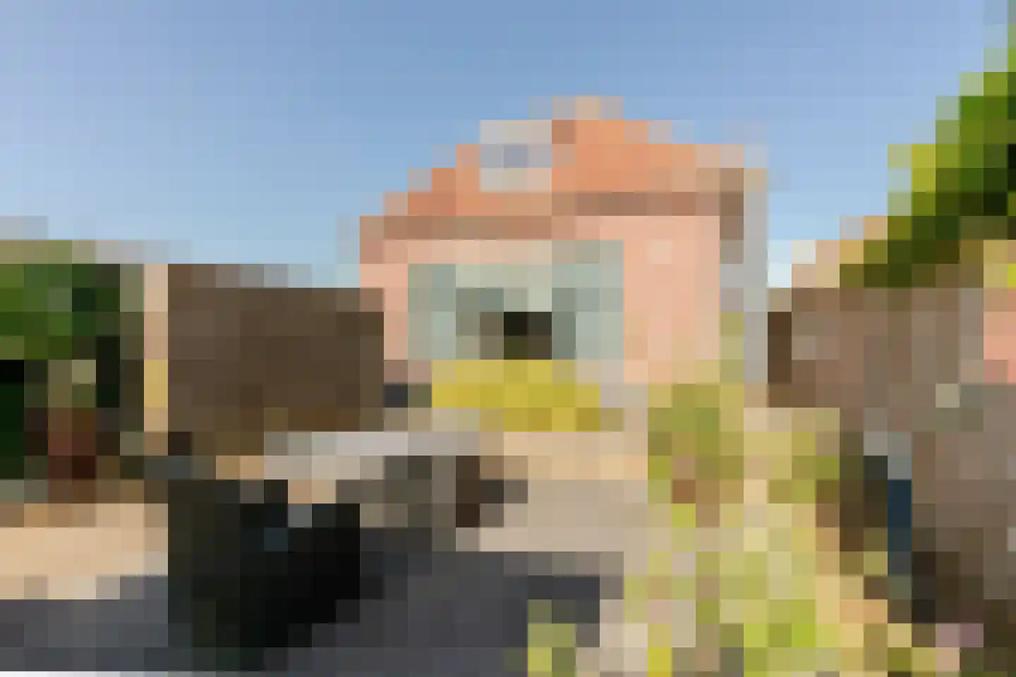 Slagveld 15 Brielle thumbnail 39
