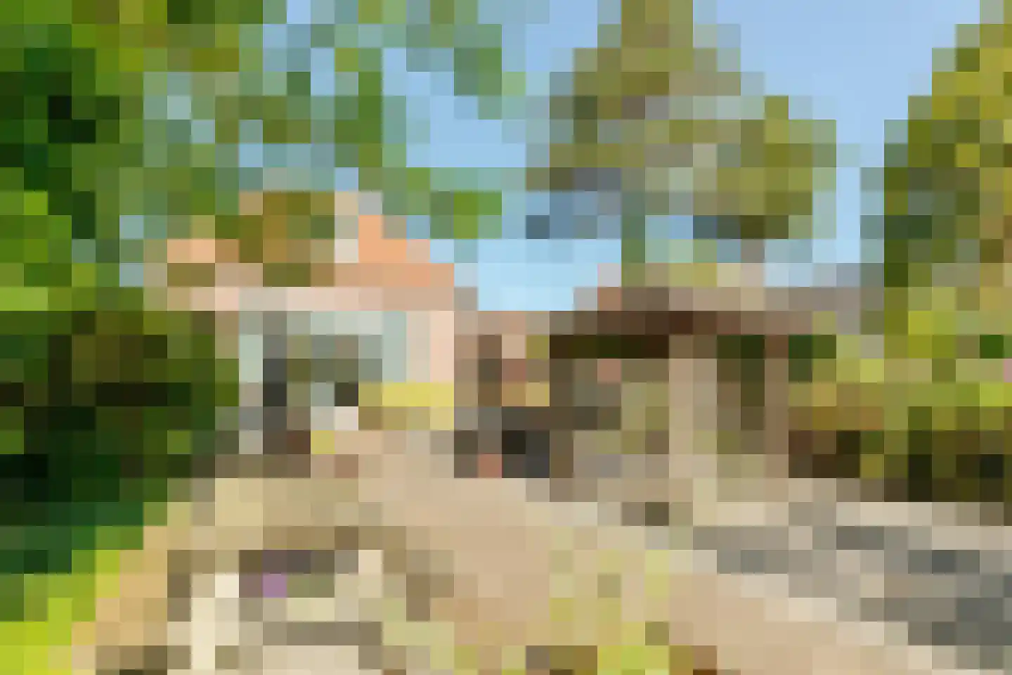 Slagveld 15 Brielle thumbnail 4