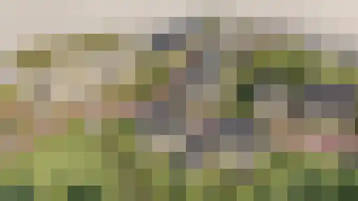 Slakweg 1 Gronsveld thumbnail 4