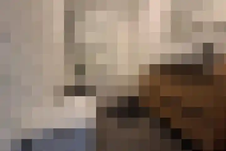 Slamatstraat 96 Rotterdam thumbnail 12