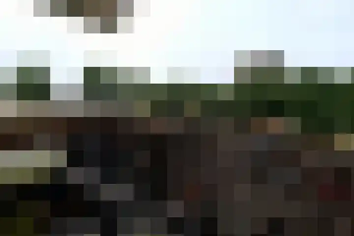 Slamatstraat 96 Rotterdam thumbnail 14