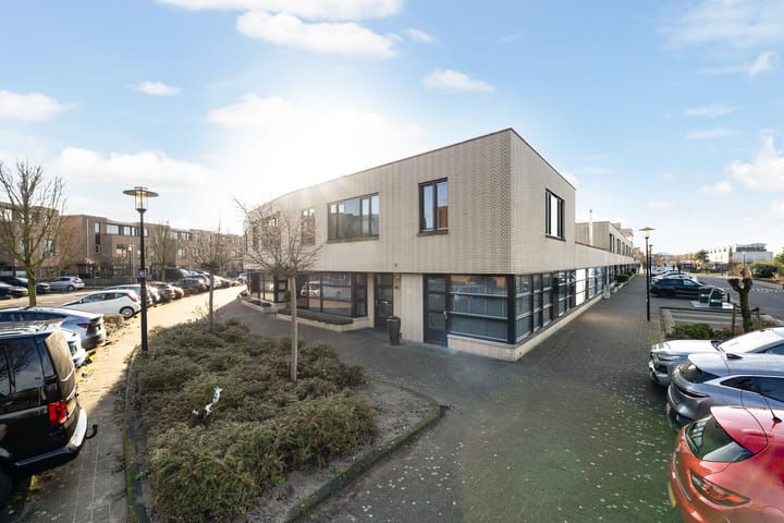 Slangekruid 145 in Monster