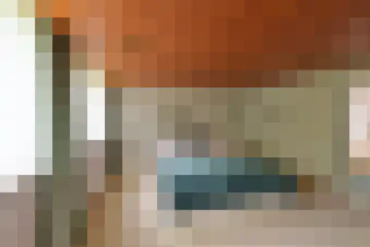 Slangekruid 45 Huizen thumbnail 10