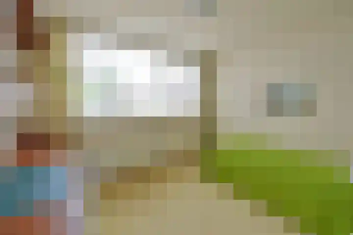 Slangekruid 45 Huizen thumbnail 13