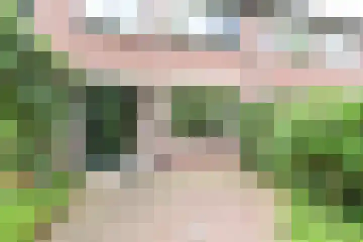 Slangekruid 45 Huizen thumbnail 16