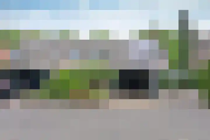 Slangekruid 45 Huizen thumbnail 25