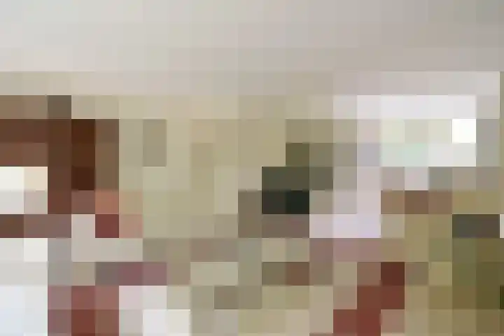 Slangekruid 45 Huizen thumbnail 4