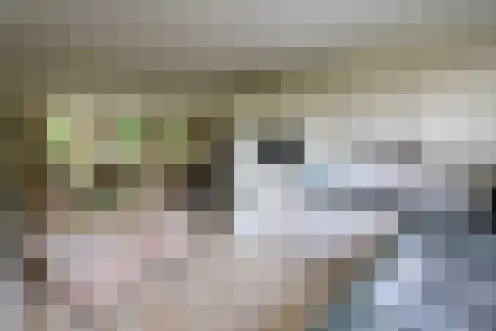 Slangekruid 45 Huizen thumbnail 8